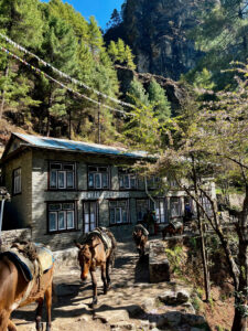 Dọc đường trekking
